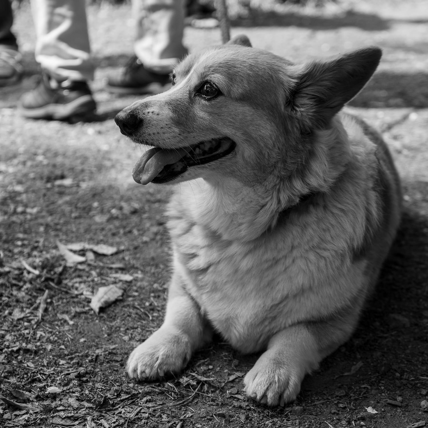 DSC01404