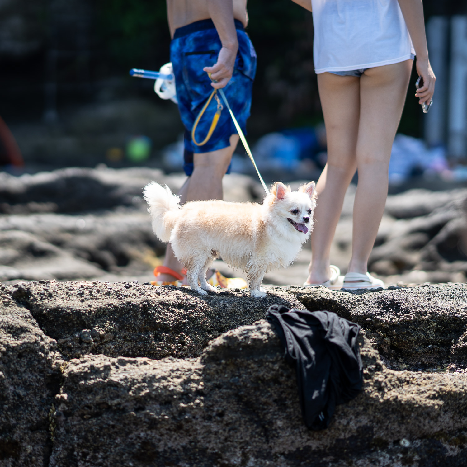 Edo-IMCJP-Beach-2018-07-15_124848_122-1