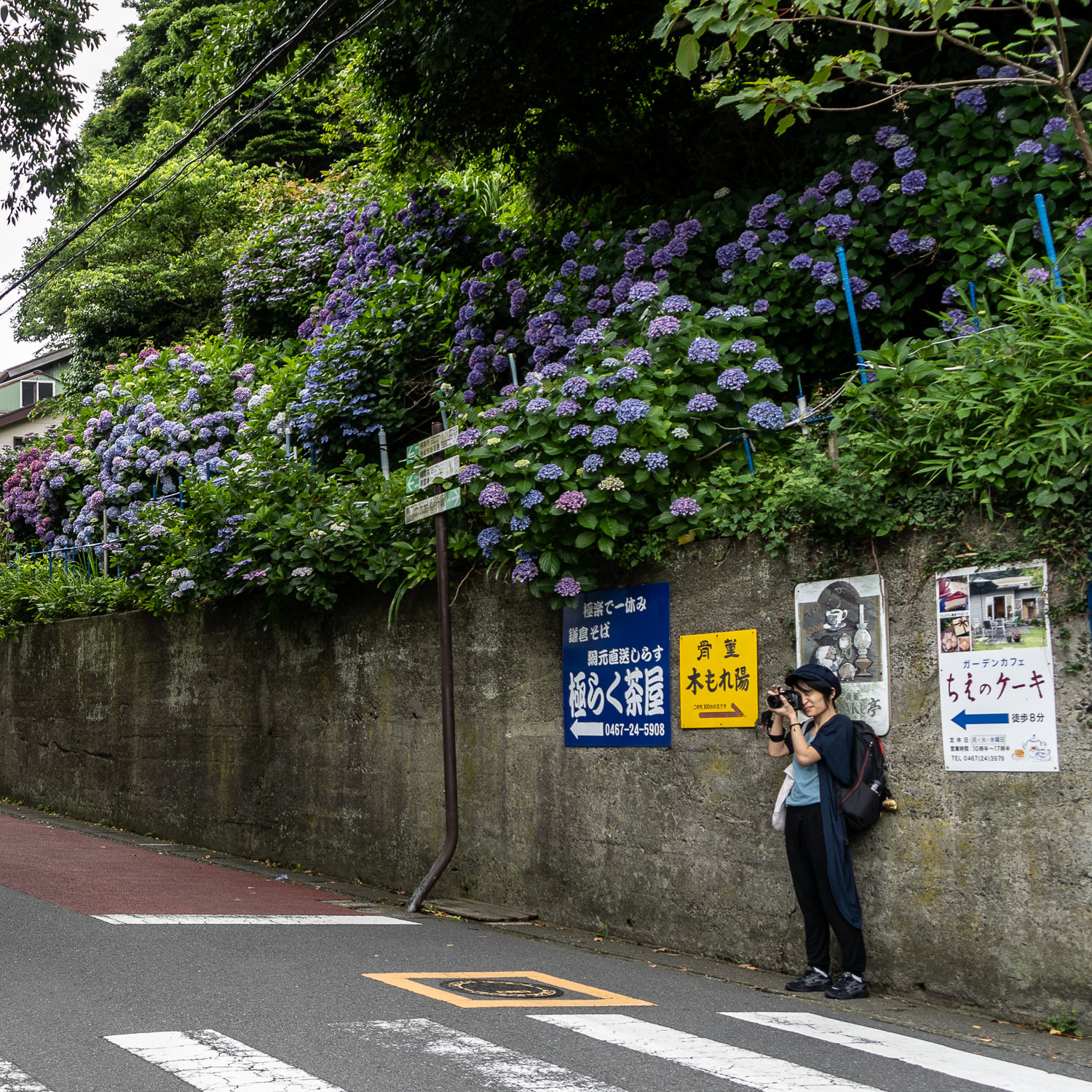Edo-Kamakura-2018-06-16_120717_092