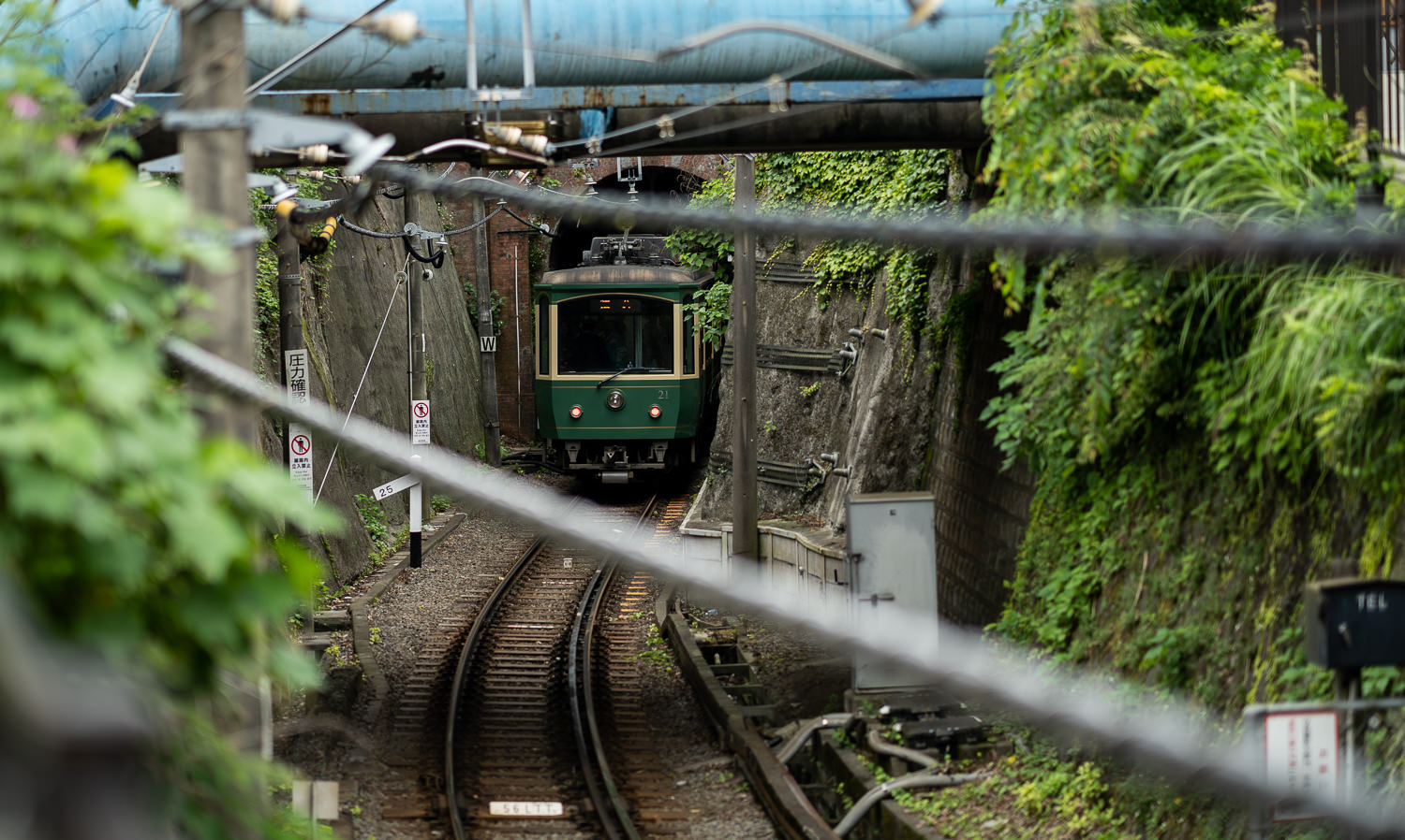 Edo-Kamakura-2018-06-16_122622_146