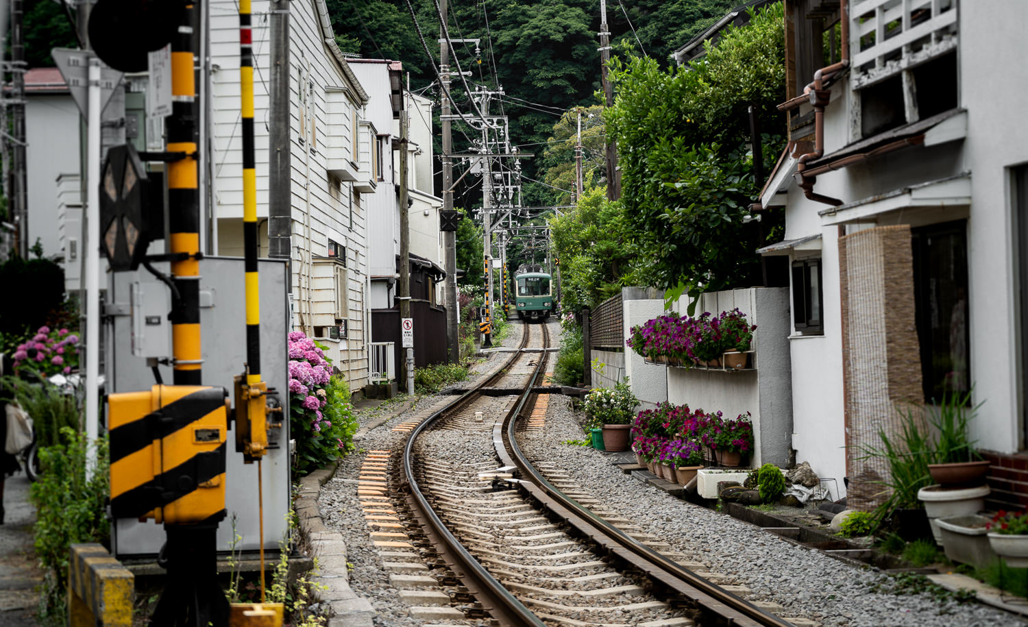 Edo-Kamakura-2018-06-16_131831_223
