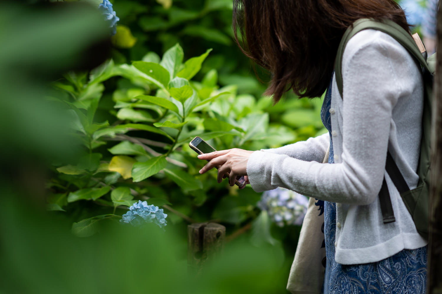 Edo-Kamakura-2018-06-16_154441_279