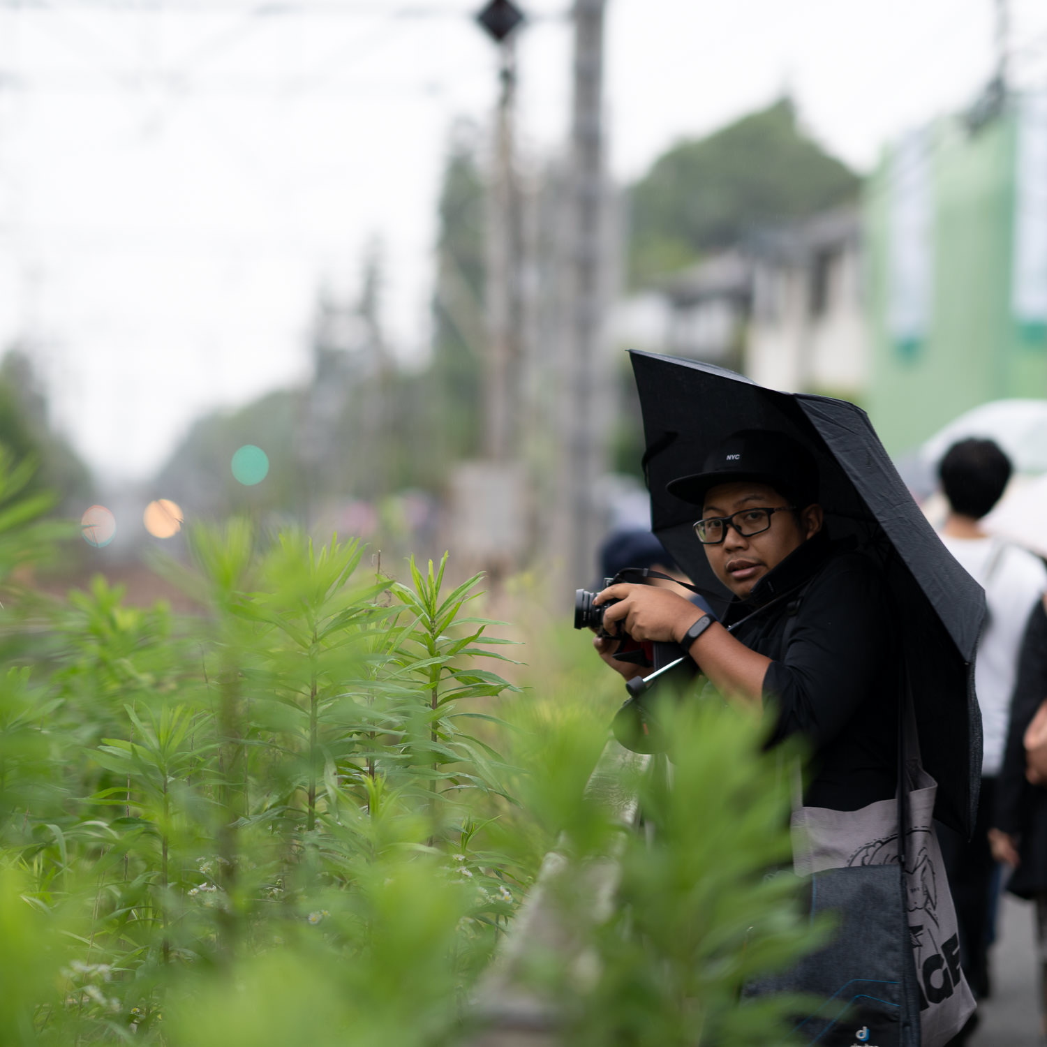 Edo-Kamakura-2018-06-16_165503_404