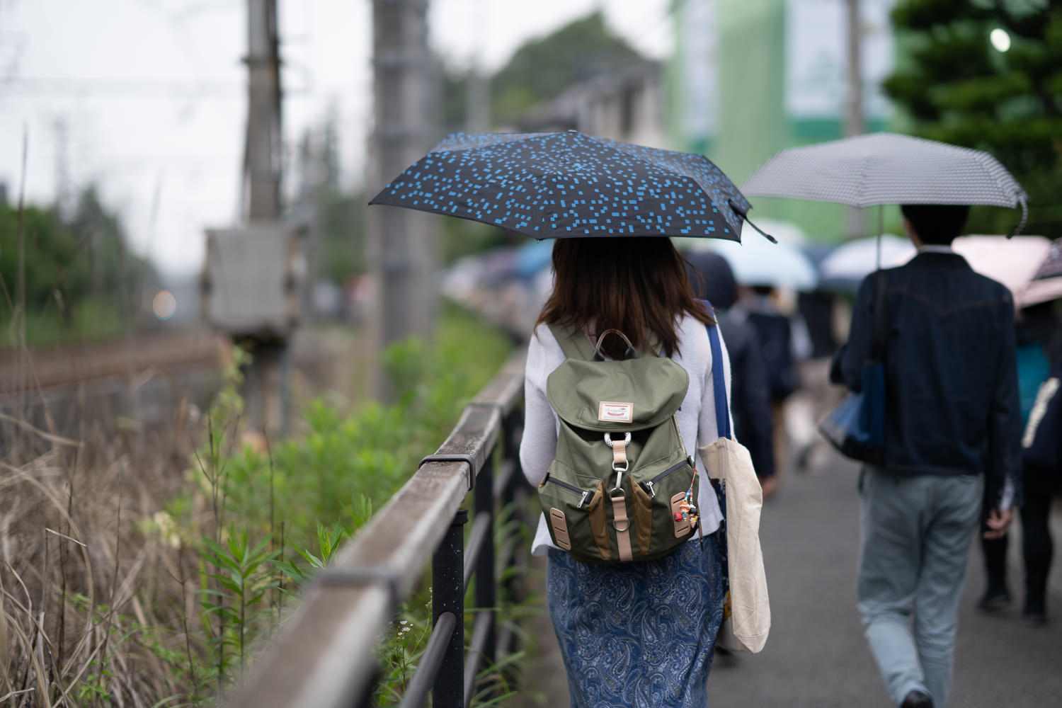 Edo-Kamakura-2018-06-16_165613_416