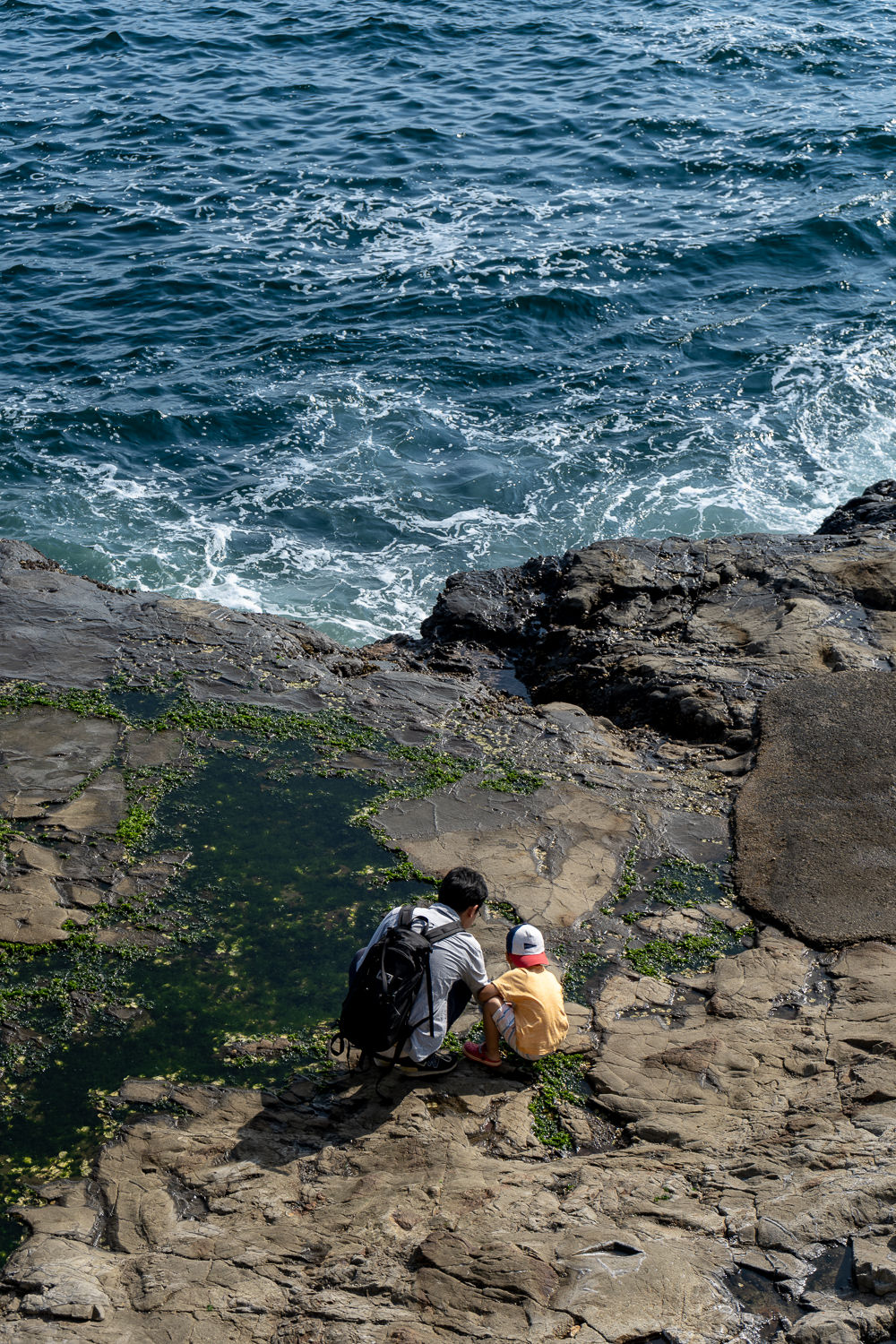 Edo-Kamakura-2018-06-17_153911_617